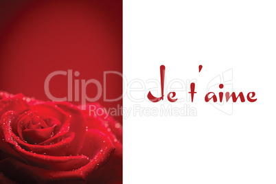 Composite image of red rose with rain drops