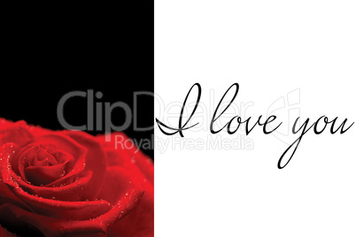 Composite image of red rose on black background