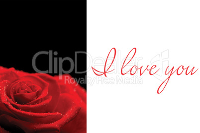 Composite image of red rose on black background