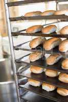Bread rolls on trays of shelf
