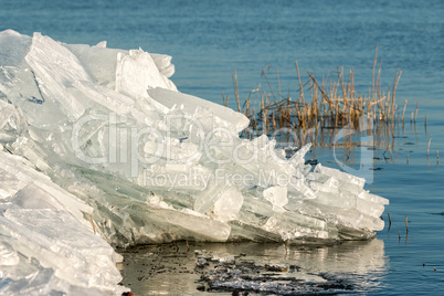 Winter scene