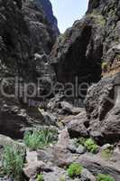 Mascaschlucht, Teneriffa