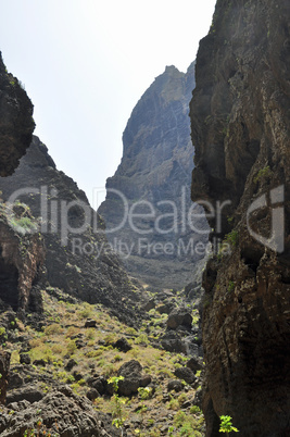 Mascaschlucht, Teneriffa