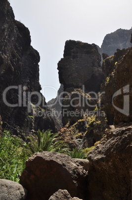 Mascaschlucht, Teneriffa