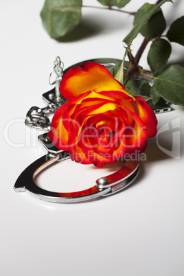 Handschellen mit einer Rose