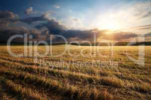 Sunbeams over field