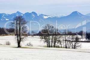 Snowy landscape in the Bavarian mountains