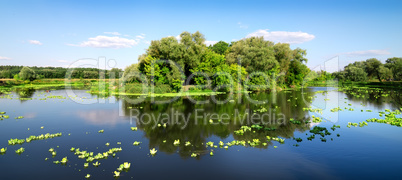 Island on river