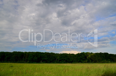 gruene wiese mit wald und wolken gruene wiese mit wald und wolken