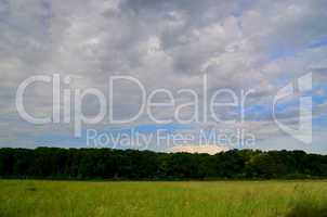 gruene wiese mit wald und wolken