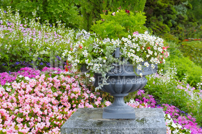 beautiful flower bed