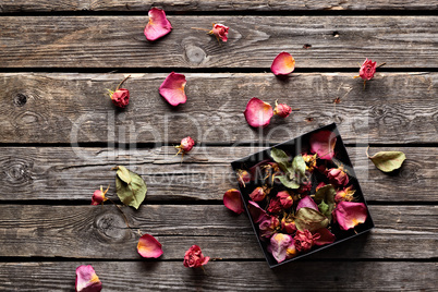 Rose Petals Inside Open Gift Box.