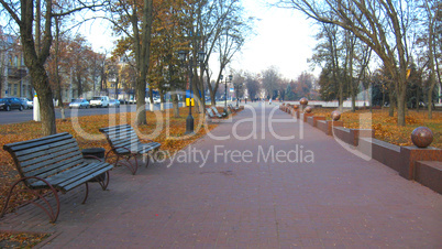 benches and path in the Autumn city park