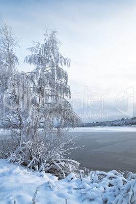 Winter landscape with trees, covered with hoarfrost and lake