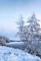 Winter landscape with trees, covered with hoarfrost and lake