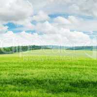 green field and blue sky