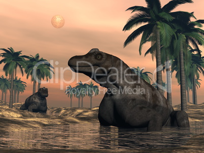 Keratocephalus dinosaurs - 3D render