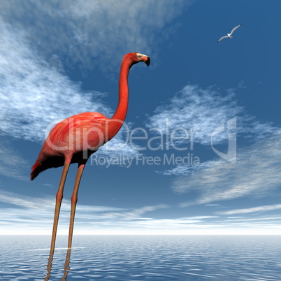 Pink flamingo - 3D render