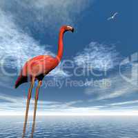 Pink flamingo - 3D render