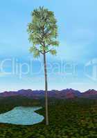 Cordaites tree - 3D render