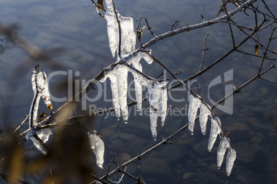 Icicles at a lake