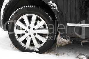 Frozen ice on car tires