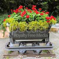 interesting flower bed in the trolley