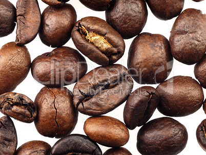 Coffee beans on a white background.