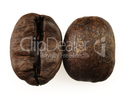 Coffee beans on a white background.