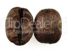 Coffee beans on a white background.