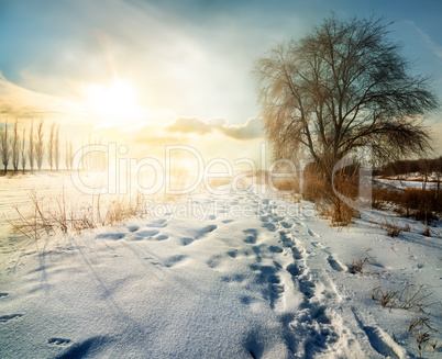 Winter in countryside