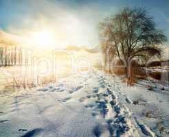 Winter in countryside