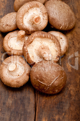 shiitake mushrooms