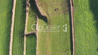 Flying Over the Agricultural Green Fields, Sao-Miguel Azores