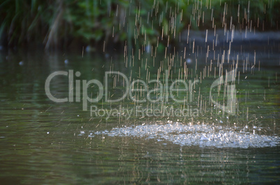 tropfen im teich