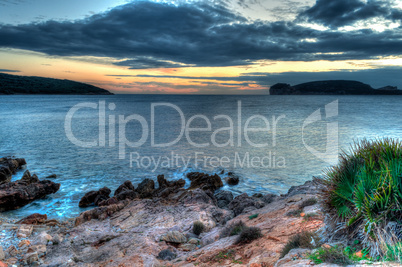 Seascape at sunset in winter with grass and a plant