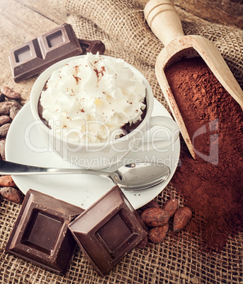 Cup of hot chocolate with whipped cream