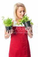Frau mit Schürze riecht an Basilikumpflanze