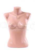 mannequin on a white background