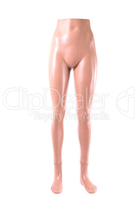 mannequin on a white background