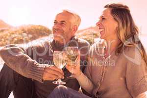 Couple enjoying white wine on picnic at the beach