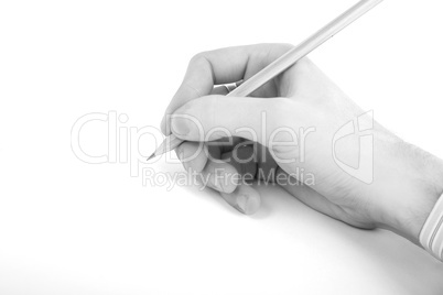 Red pencil in women hand isolated on white background, holds,