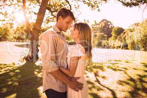 Smiling couple standing and embracing in park