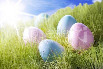 Five Colorful Easter Eggs On Sunny Grass