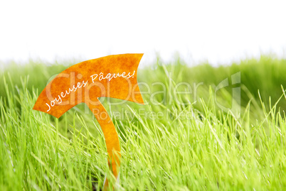 Label With French Joyeuses Paques Which Means Happy Easter On Green Grass