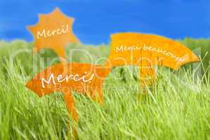 Three Labels With French Merci Which Means Thank You And Blue Sky