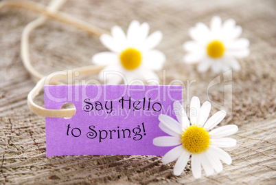 Purple Label With Life Quote Say Hello To Spring And Marguerite Blossoms
