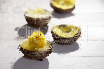 Easter Basket Nest With Yellow Chick And Bokeh