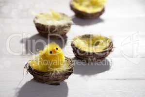 Easter Basket Nest With Yellow Chick And Bokeh