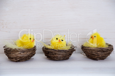 Three Yellow Chicks In Baskets With Copy Space